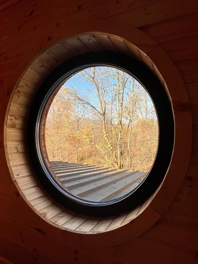 Moodysun Studio, Remote Tiny Home Comarnic Eksteriør billede