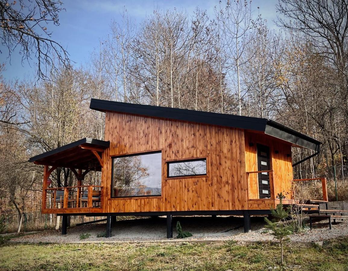 Moodysun Studio, Remote Tiny Home Comarnic Eksteriør billede