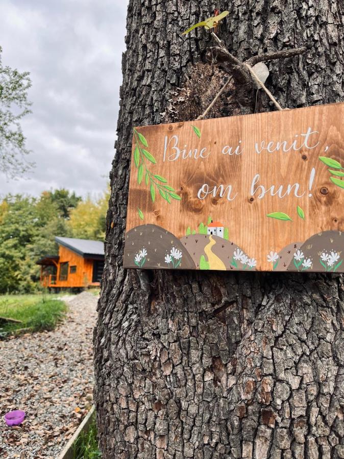 Moodysun Studio, Remote Tiny Home Comarnic Eksteriør billede