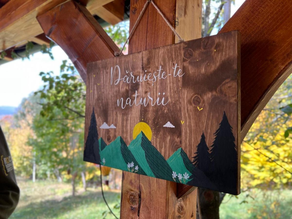 Moodysun Studio, Remote Tiny Home Comarnic Eksteriør billede