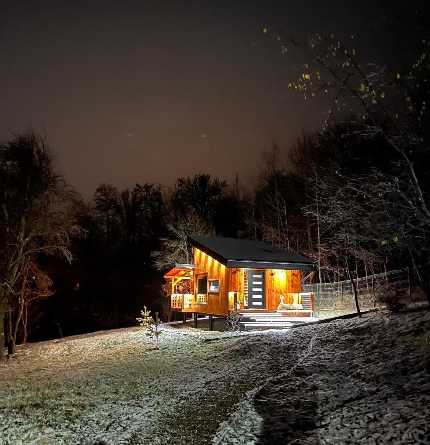 Moodysun Studio, Remote Tiny Home Comarnic Eksteriør billede