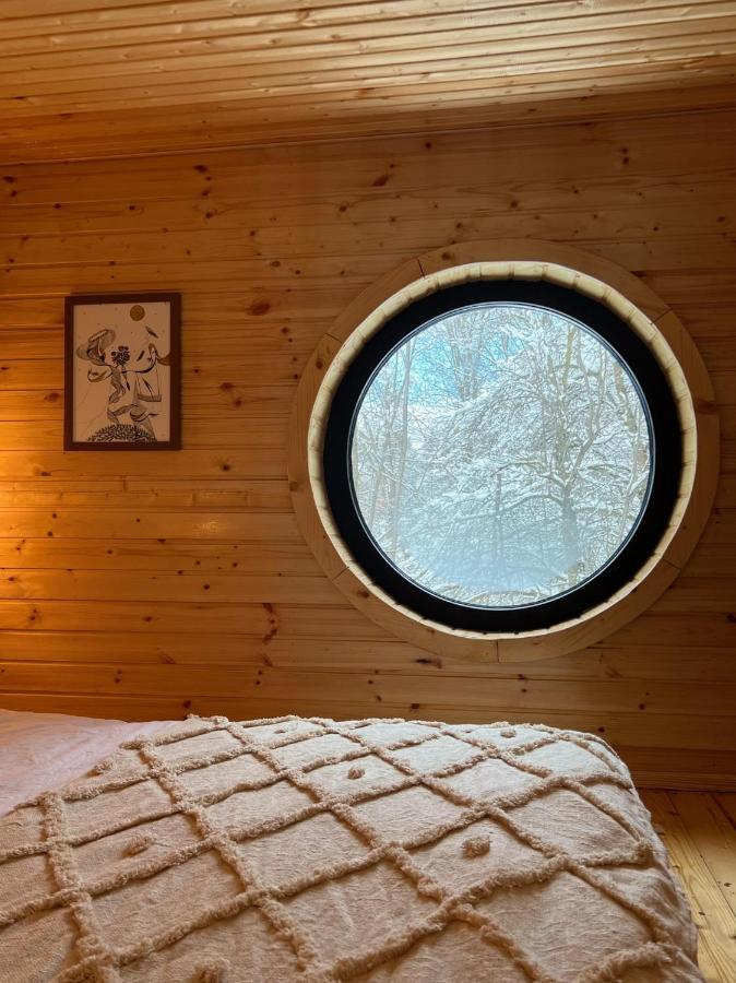 Moodysun Studio, Remote Tiny Home Comarnic Eksteriør billede